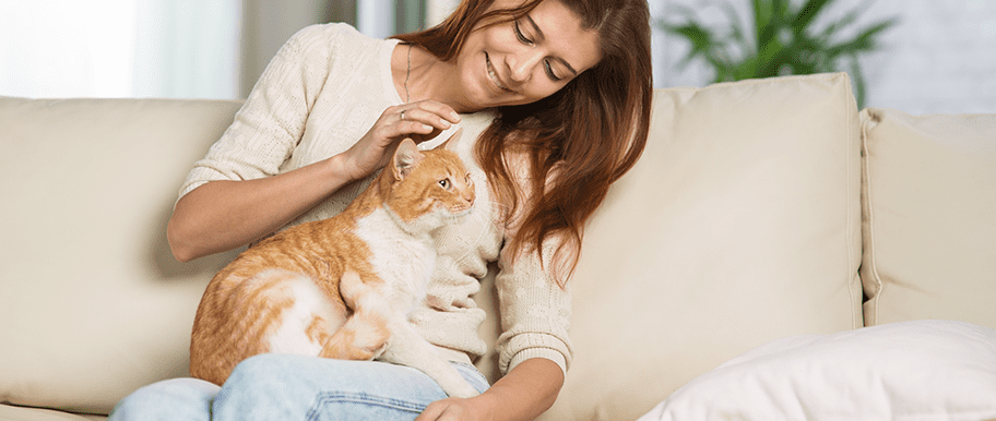 femme caresse chat